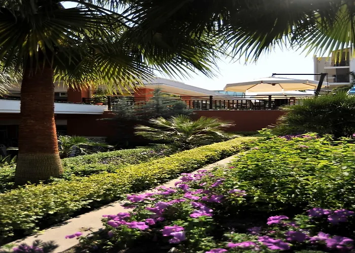 Barut B