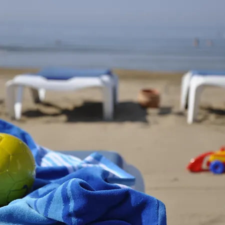 Barut B 시데