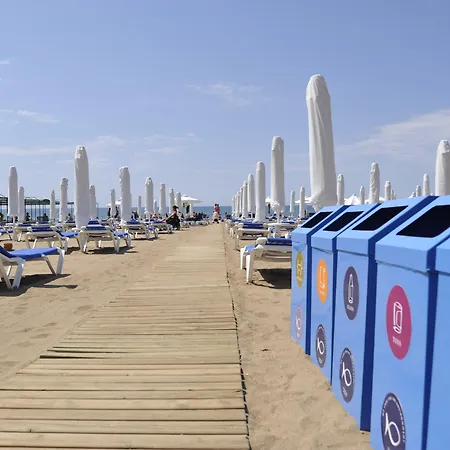 Barut B